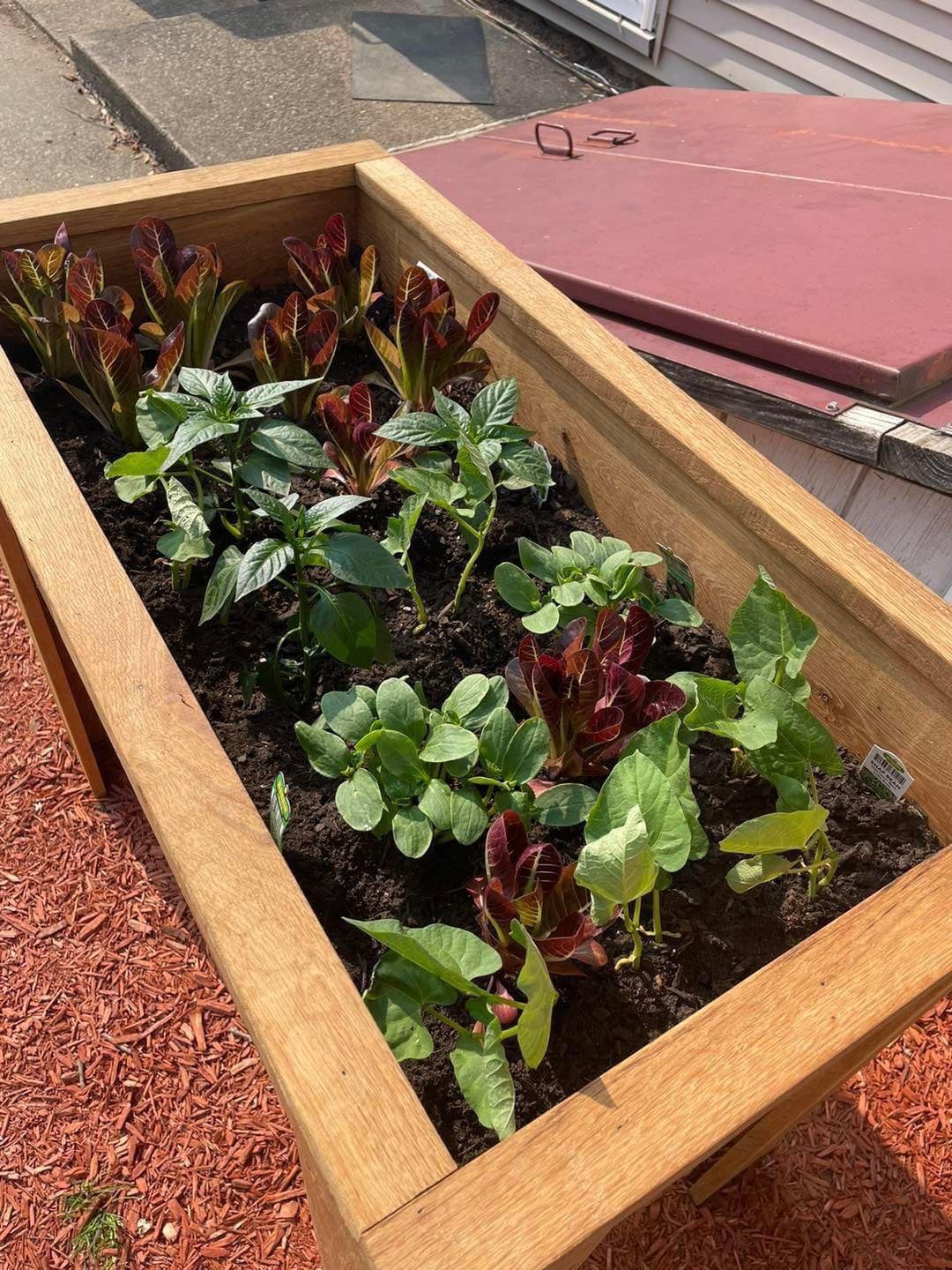 Small Garden Box PRE-ORDER | Progressive Wood Works